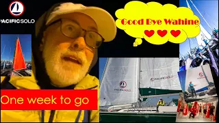 One week to go! Goodbye Wahine!