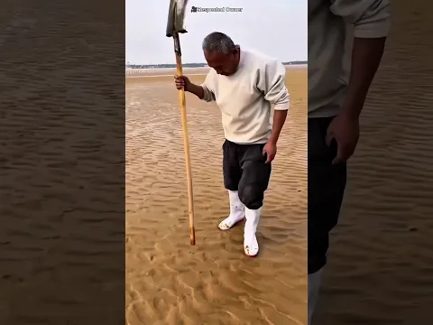 #slowed