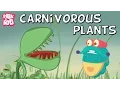 Download Lagu Carnivorous Plants | The Dr. Binocs Show | Educational Videos For Kids
