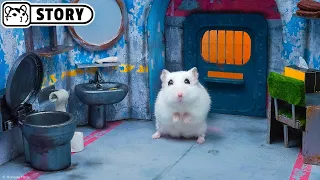 Hamster Escapes from the Nuclear Shelter Prison Maze - Shorts 🐹 Homura Ham