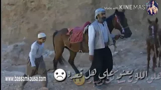 حالات واتس اب لقاء نصار ورضا 