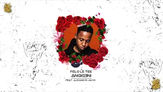 felo le tee angigeni feat alexander james 