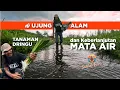 Download Lagu di UJUNG ALAM | Tanaman Dringu dan Keberlanjutan 'MATA AIR'