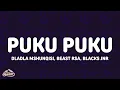 Lagu Dladla Mshunqisi, Beast Rsa, Blacks Jnr - Puku Puku (Lyrics)