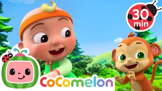 Run - Duck Duck Goose Game! 🐵 CoComelon JJ's Animal Time | Animal Songs