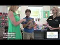 Pets on Parade - August 9th 2024
