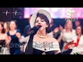 Lagu Andreea Chisăliță - REVELION 2026 - Palean Events - Vladimir Project - colaj 2  - ardelene