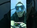 Download Lagu Bu Balık Okyanusun Diş Hekimi 😯❤️