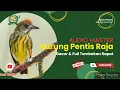 Download Lagu MASTERAN BURUNG PENTIS RAJA GACOR FULL TEMBAKAN RAPAT#shorts