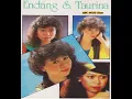 Endang S. Taurina - Berenang Di Laut Cinta | Disco Dangdut | Lagu Dangdut Lawas | Lagu Dangdut Lama