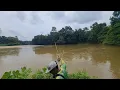Download Lagu Rasmi sauk baru dengan ikan mahal size pecah rekod #wms-382
