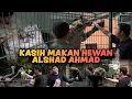 Download Lagu GW HAMPIR DIMAKAN HARIMAU ?!! KENALAN KE SEMUA HEWAN DI TEMPAT @AlshadAhmad !! LUCU LUCU SEMUA !!!