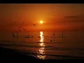 Vanessa de Mata feat. Ben Harper - Boa Sorte/Good Luck (Original)