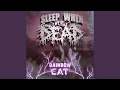 Download Lagu Rainbow Cat
