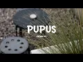 dewa-19 - pupus - lirik saja