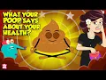 Download Lagu Is Your Gut Healthy? 💩What do Unhealthy Stools Look Like? | Healthy Body Signs | Dr Binocs Show