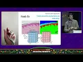uvx which-profiler - Which Profiler When