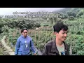 Download Lagu Panen Timun bareng Tetangga di Ladang