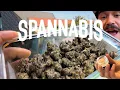 Download Lagu is Spain LIT? Full Documentary of Spannabis