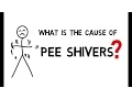 Pee Shivers Why Do They Happen Explanations and Theories