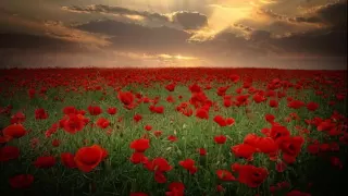 فارس عباد سورة الفتح Fares Abbad Sorat Al Fath 