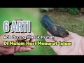 LEBIH BAIK WASPADA !! 6 ARTI BURUNG MASUK RUMAH MALAM HARI MENURUT ISLAM
