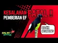 Lagu EF Bikin Gacor atau Rusak? Ini Kesalahan Fatal Pemberian EF Murai Batu‼️ 