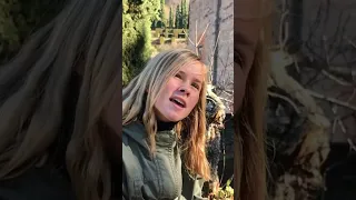 Alhambra Palace in Grenada is worth a visit if you happen to be in Spain #travel #travelspain