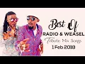 Download Lagu Best Of Radio \u0026 Weasel Tribute Mix Songs 2018