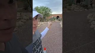 FBI BACK NANCY GUTHRIE HOME