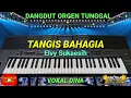 Download Lagu TANGIS BAHAGIA ( ELVY SUKAESIH ) - DINA - DANGDUT ORGEN TUNGGAL