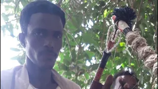 Tigre Music Ibrahim Noray ابراهيم نوراي 