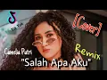 Download Lagu Salah Apa Aku (Entah apa yang merasukimu) Remix - Camelia Putri (Cover)