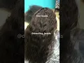How to do tree braids