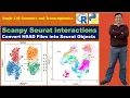 Scanpy Seurat Tutorials Convert H5AD Files into Seurat Objects