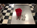 Calibrating thermometer freezing point method