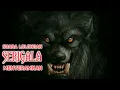 Download Lagu Suara Lolongan Serigala Paling Menyeramkan di Malam Hari