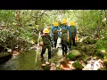 Measuring Hurricane Helene s legacy in Appalachian streams