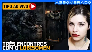 POR QUE ELE NÃO ATACAVA? - "TRÊS ENCONTROS COM O LOBISOMEM: MINHA FAMÍLIA VIU A MESMA CRIATURA?"