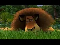 Madagascar 1 - What a Wonderful World