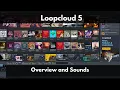 Loopcloud 5 Features and Sounds