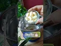 Lice Treatment At Home