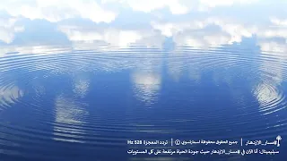 جلسة  مسار الازدهار  تردد المعجزة    هرتز مع سبليمينال  صلاح الراشد دندنها