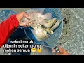 Download Lagu ALHAMDULILLAH Rezeki sampe kwalahan nyerok ikan di spot ini