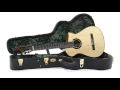 MICHIHIRO MATSUDA：Crossover Cutaway (Nylon Strings)