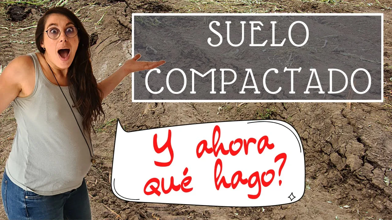 SOLUCIONES para la COMPACTACIÓN del SUELO👍