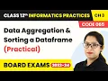 Data Aggregation Sorting a Dataframe Practical Code 065 Class 12 Informatics Practices Ch 3