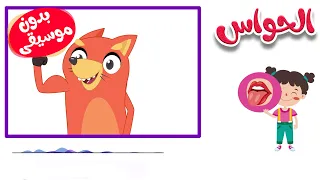 أنا إنسان لي إحساس  بدون موسيقى    قناة ثعلوب دندنها