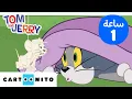 Lagu توم وجيري | مغامرات توم وجيري المذهلة! | كارتونيتو