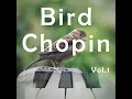[Bird] Nocturne in E Flat Major Op. 9 No. 2
